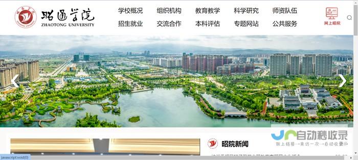 昭通专业网站建设服务：助您在互联网时代快速发展