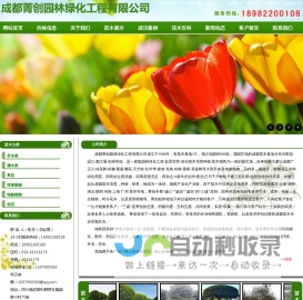 成都紫薇_桂花_桢楠_广玉兰_红叶李_苗木_成都菁创园林绿化工程有限公司